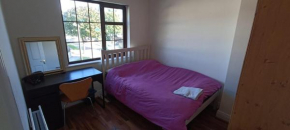 Asya Accomodation